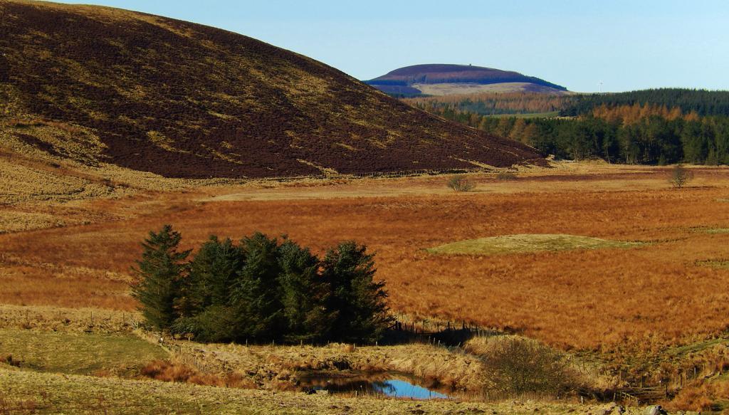 Scotland Paradise Relax Accommodation By Shooting Club Kirriemuir Balintore  ภายนอก รูปภาพ
