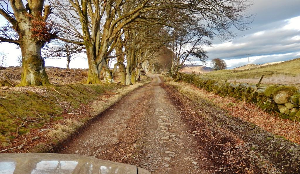 Scotland Paradise Relax Accommodation By Shooting Club Kirriemuir Balintore  ภายนอก รูปภาพ