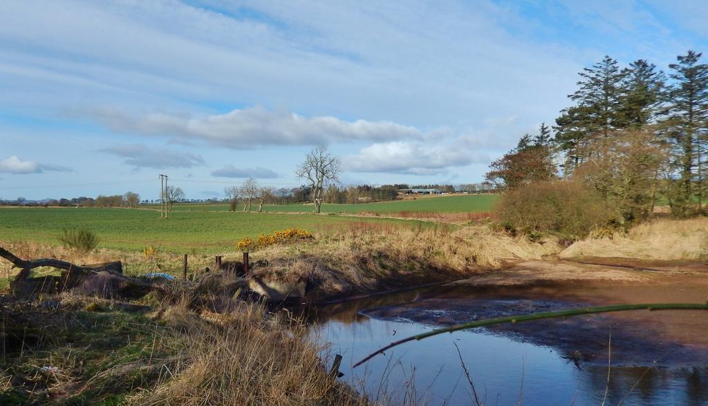 Scotland Paradise Relax Accommodation By Shooting Club Kirriemuir Balintore  ภายนอก รูปภาพ