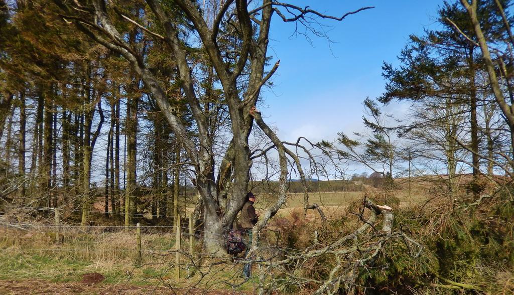 Scotland Paradise Relax Accommodation By Shooting Club Kirriemuir Balintore  ภายนอก รูปภาพ